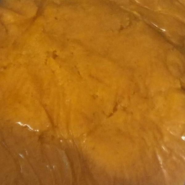 Sulphured Dried Apricots Paste